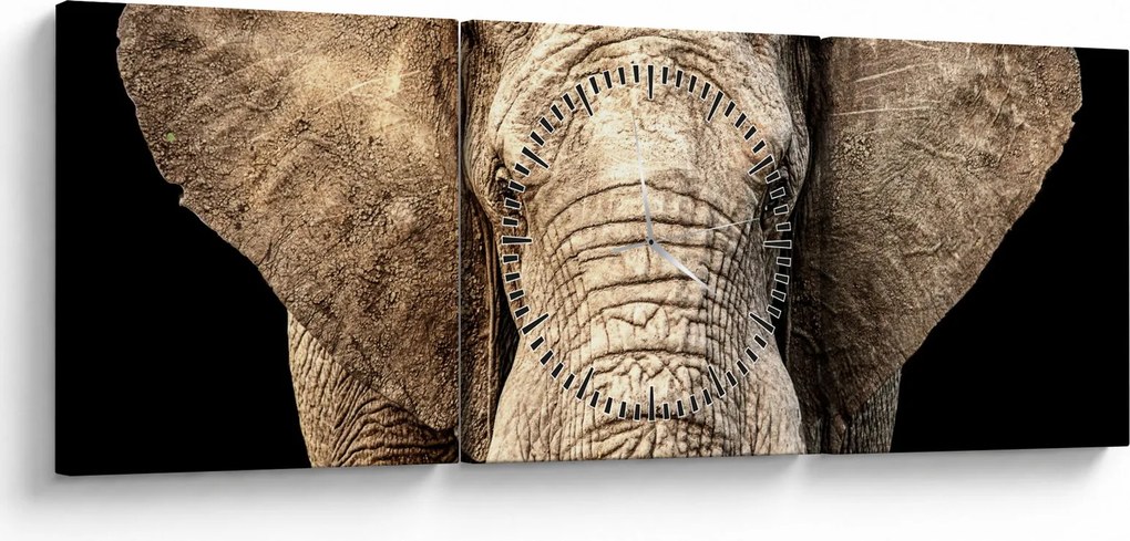 Obraz - Slon africký (s hodinami) (90x30 cm)