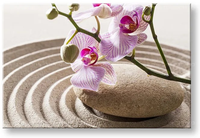 Obraz na plátne FENG SHUI_050-11 | rôzne rozmery
