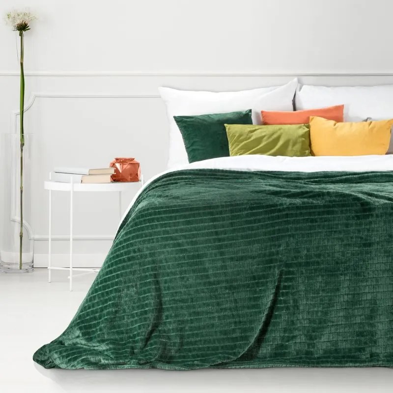 EUROFIRANY Nadýchaná a veľmi mäkká prikrývka z mikroflísu 170 cm x 210 cm tmavozelená 100 % polyester Varianta: 352563
