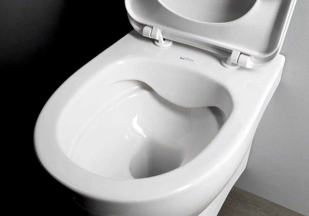 Aqualine Aqualine, ABSOLUTE závesná WC misa, Rimless, 50x35 cm, biela, 10AB02002