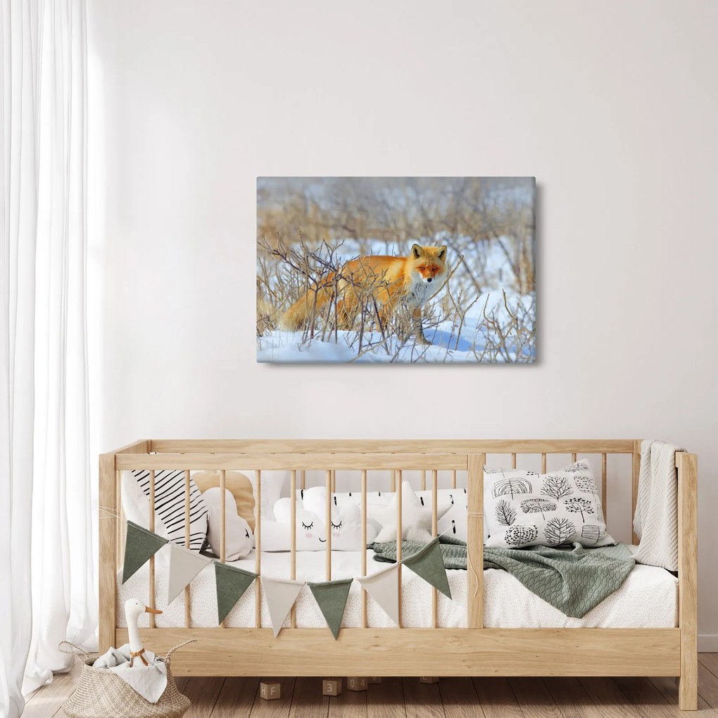 Obraz - Lišiak (90x60 cm)