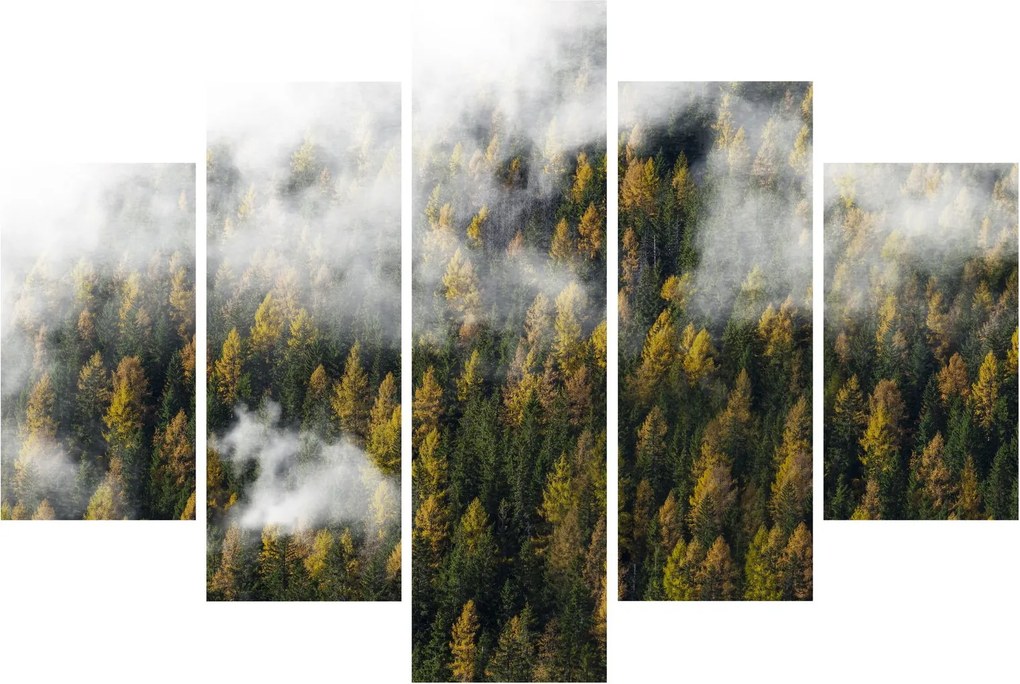 Obraz lesa v mrakoch (150x105 cm)