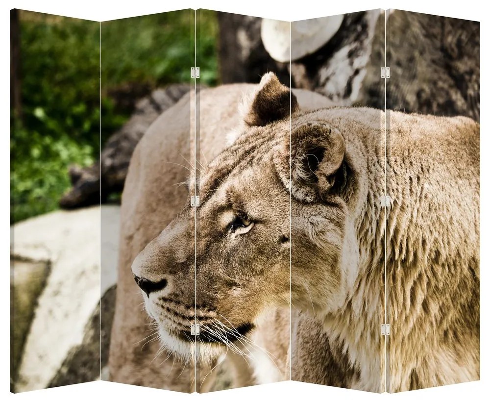 Paraván - Levica (210x170 cm)