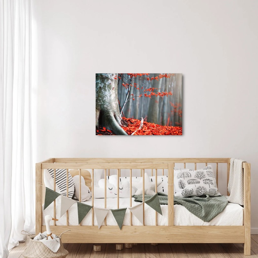 Obraz - Jeseň (70x50 cm)