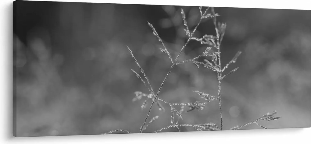Obraz - Vidiecka lúka (120x50 cm)