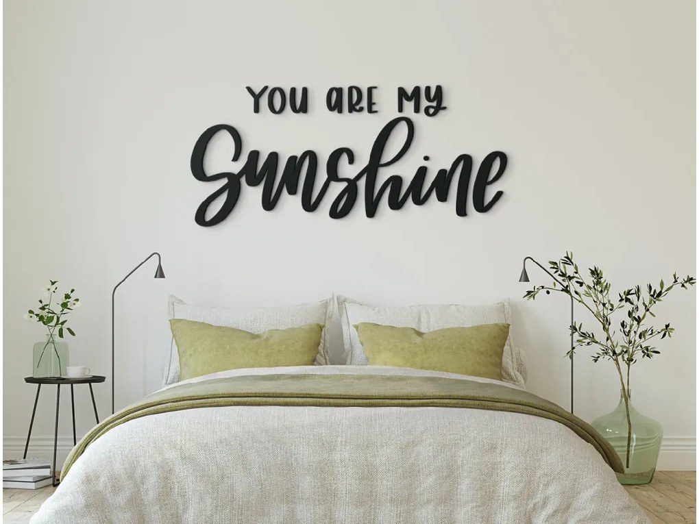 drevko Nápis na stenu You are my sunshine Rozmer obrazu: 19 x 42,5 cm, Farba dekorácie: Čierna