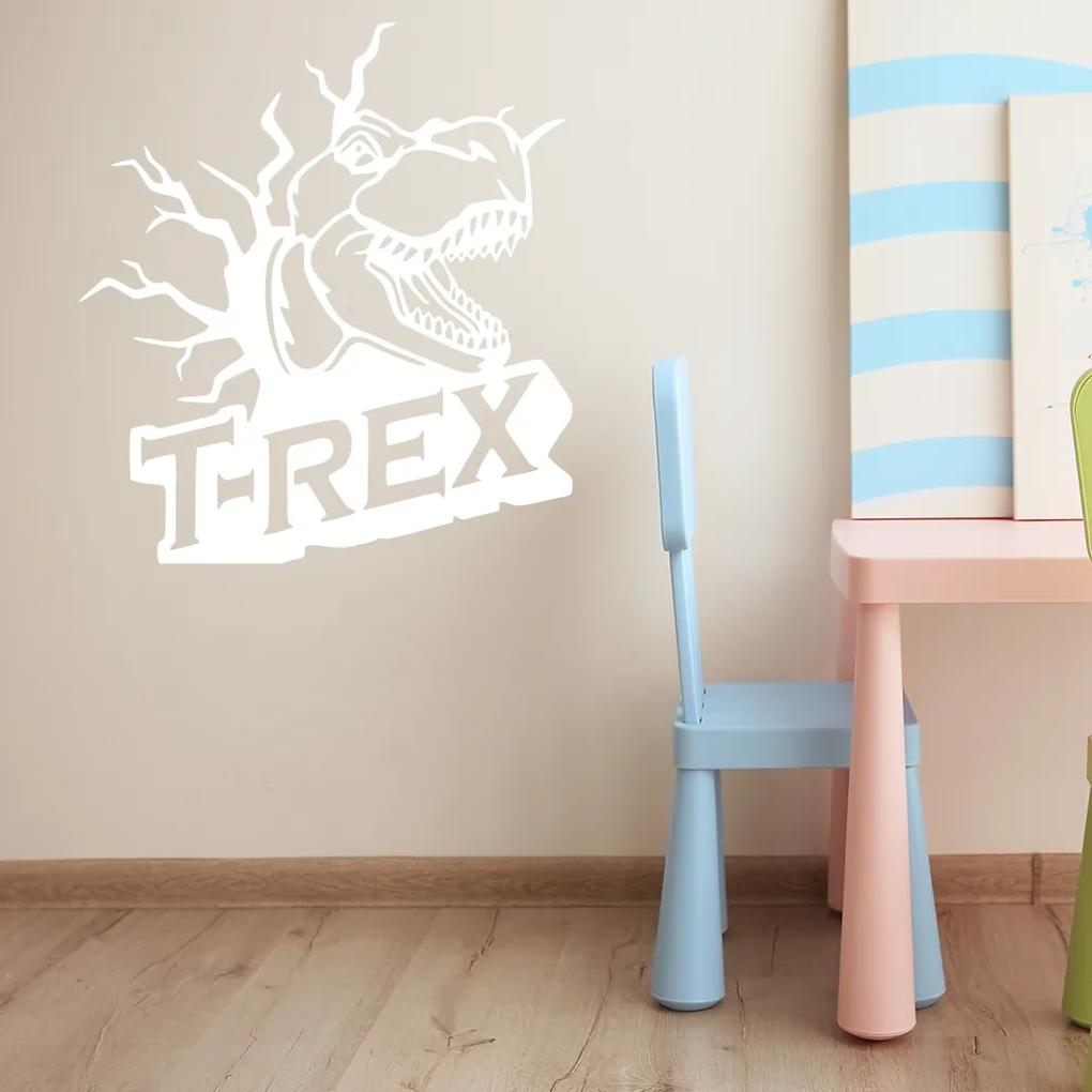 Veselá Stena Samolepka na stenu na stenu Dinosaurus T-REX Farba: čierna