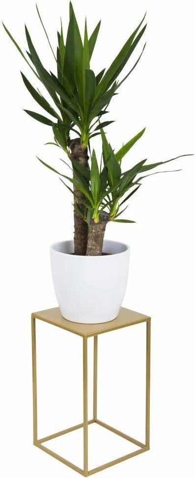 STOJAN NA KVETINÁČ SIMPLE 40X24X24 CM ZLATÁ