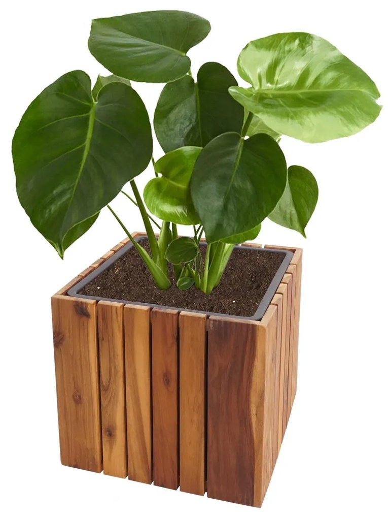Kvetináč HWC-L24, 32x32x32cm, akáciové drevo - hnedá