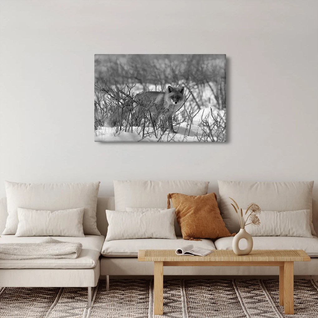 Obraz - Líška v zime (90x60 cm)