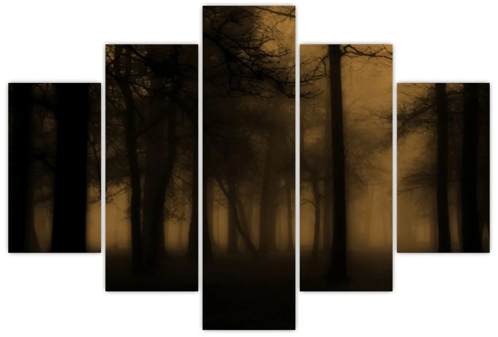 Obraz - Temný les (150x105 cm)