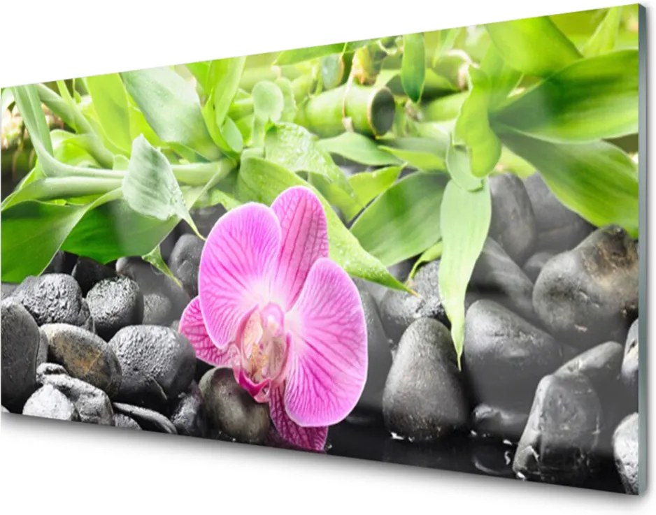 Sklenený obklad Do kuchyne Kvety Orchidea Kamene Zen