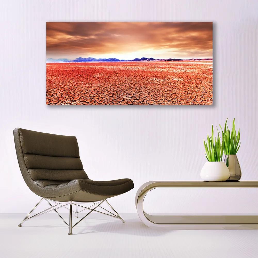 Obraz na akrylátovom skle Púšť krajina 120x60 cm