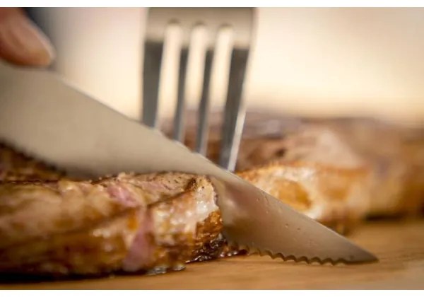 Tefal - SADA 4 ks nerezových steakových nožov ICE FORCE 11 cm chróm/čierna