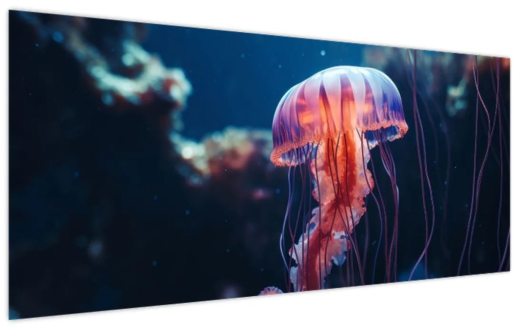 Obraz - Medúzka (120x50 cm)