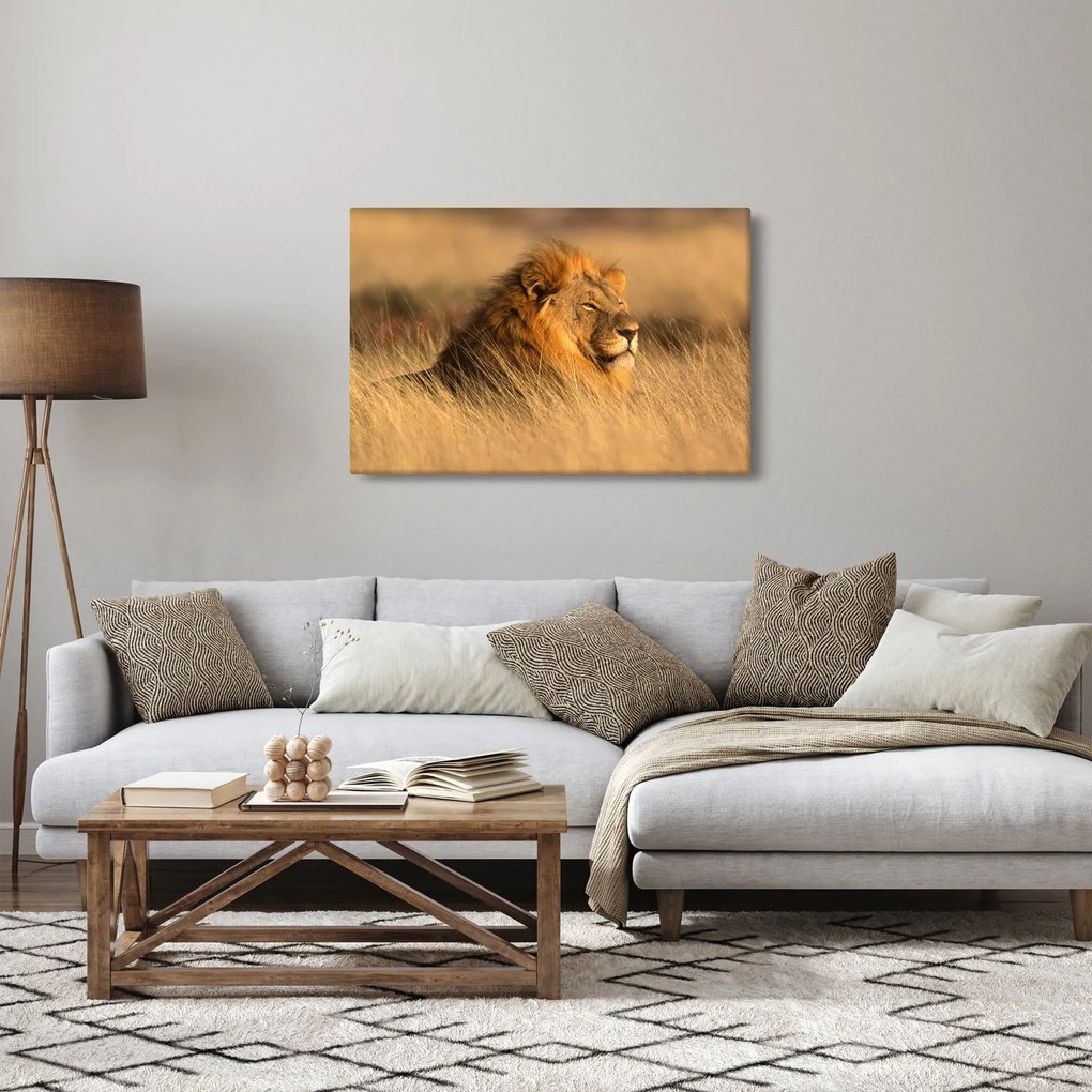 Obraz - Národný park Etosha (90x60 cm)
