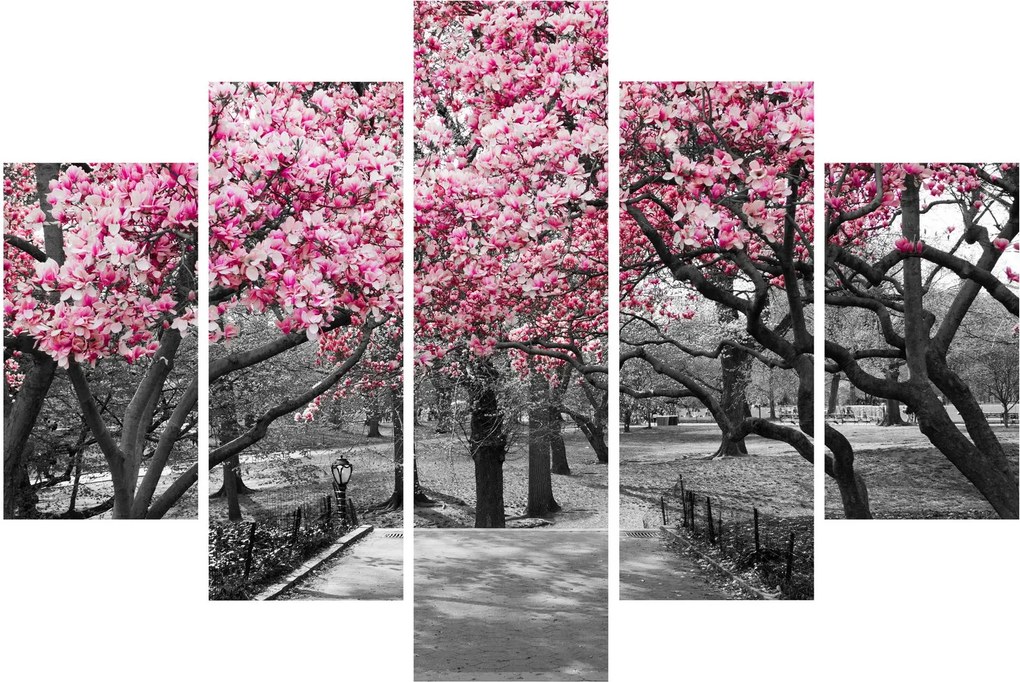 Obraz stromov Magnólie (150x105 cm)