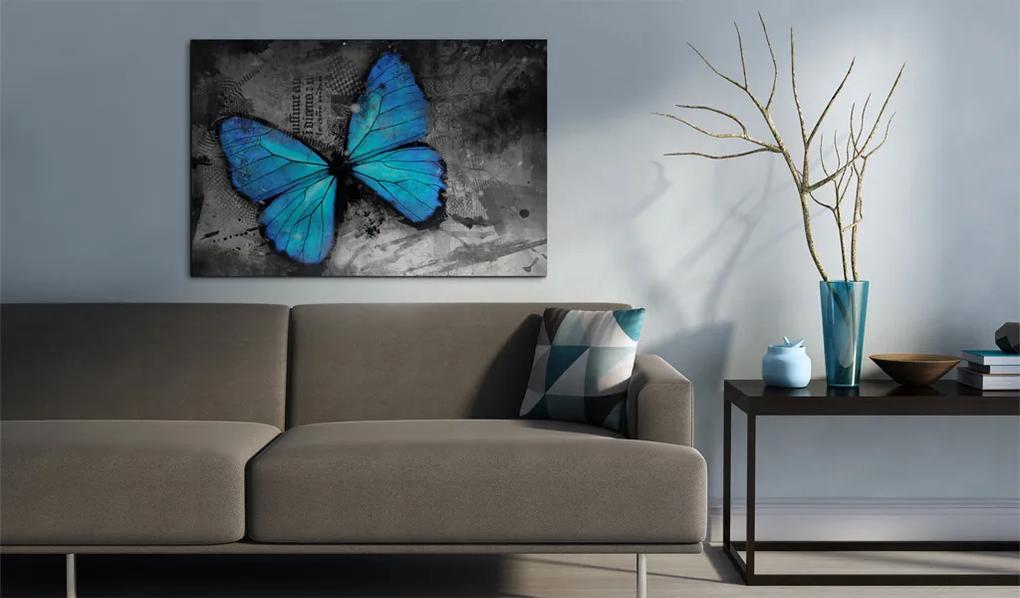 Artgeist Obraz - The study of butterfly Veľkosť: 120x80, Verzia: Na talianskom plátne