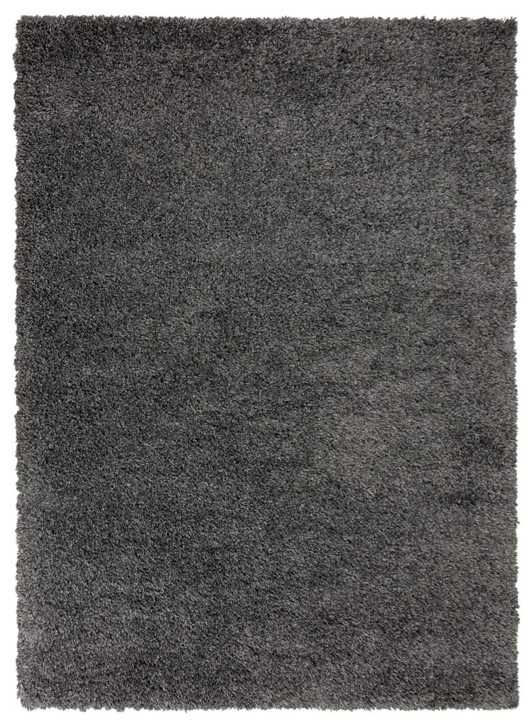 DOPREDAJ: 60x110 cm Kusový koberec Brilliance Sparks Anthracite, 60x110, šedá, obývacia izba, Flair Rugs