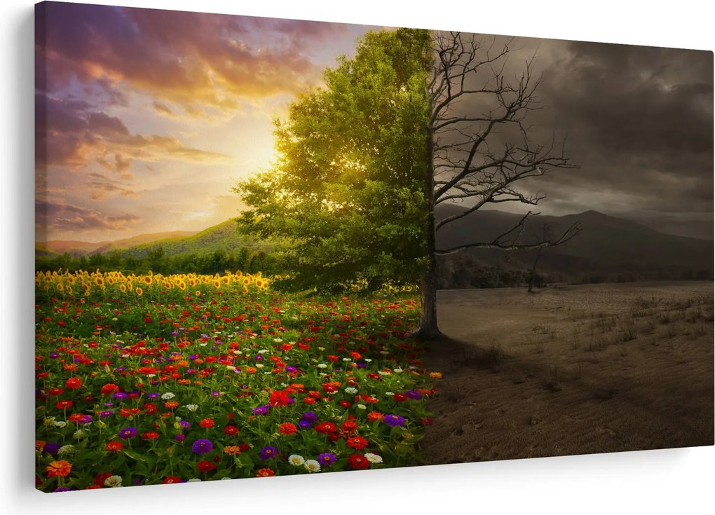 Obraz - Kolobeh života (90x60 cm)