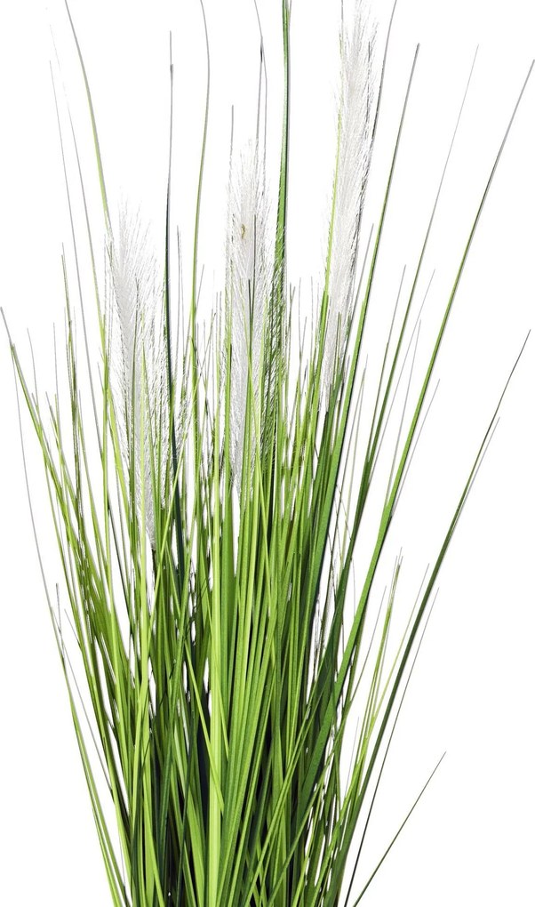 Umelá tráva PAMPAS, plast, výška 80 cm, zelená