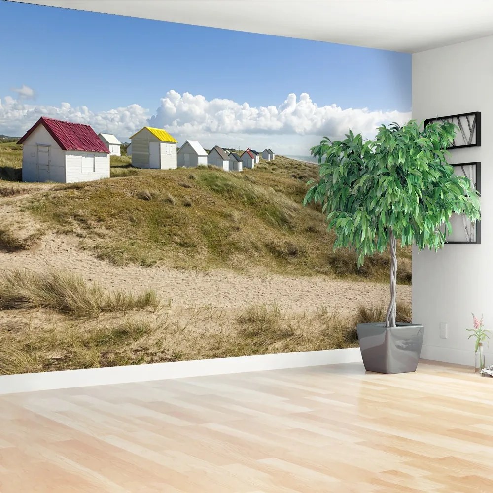 Fototapeta Vliesová Dunes beach 104x70 cm