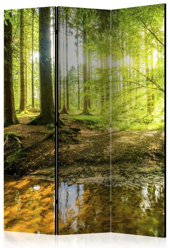 Artgeist Paraván - Forest Lake [Room Dividers]