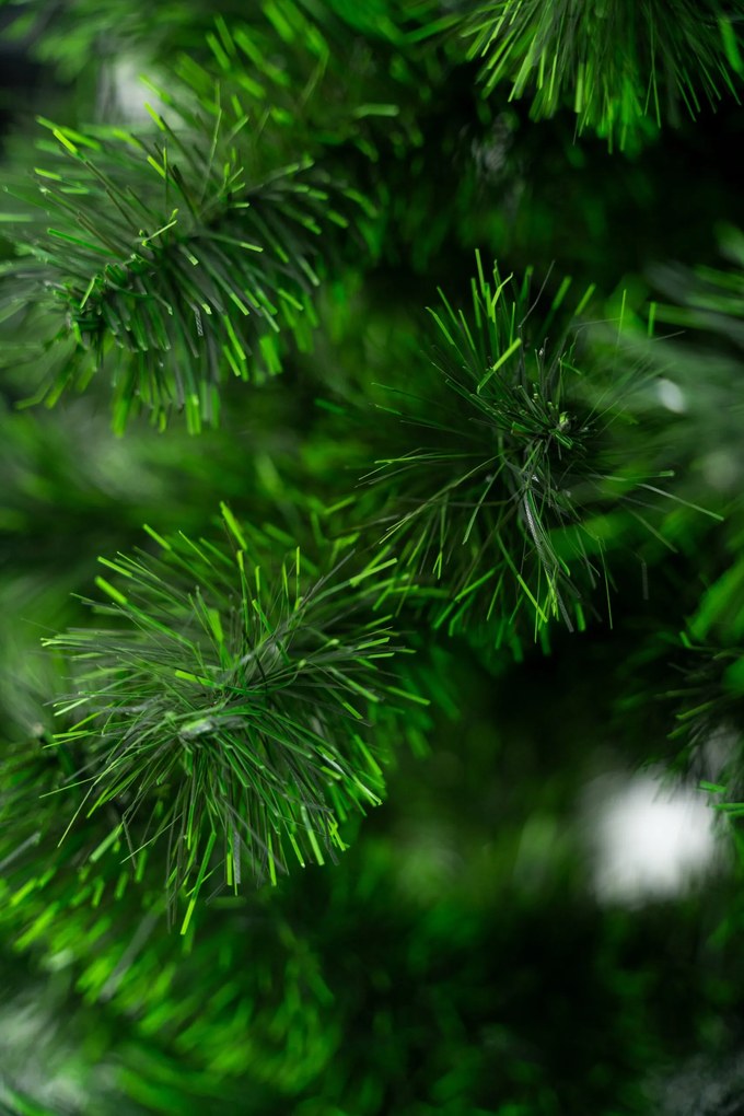 Limpol Smrek Tomek 1,80 m