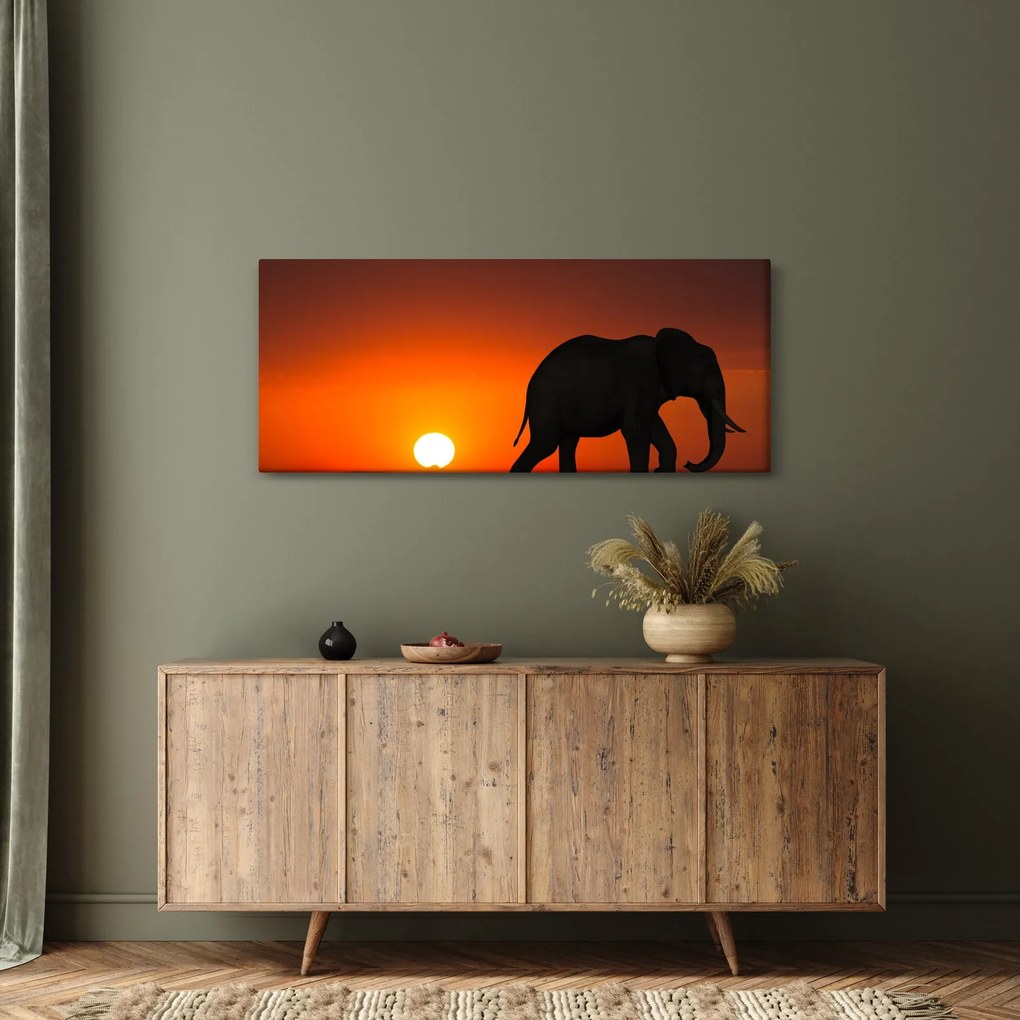 Obraz slona pri západe slnka (120x50 cm)