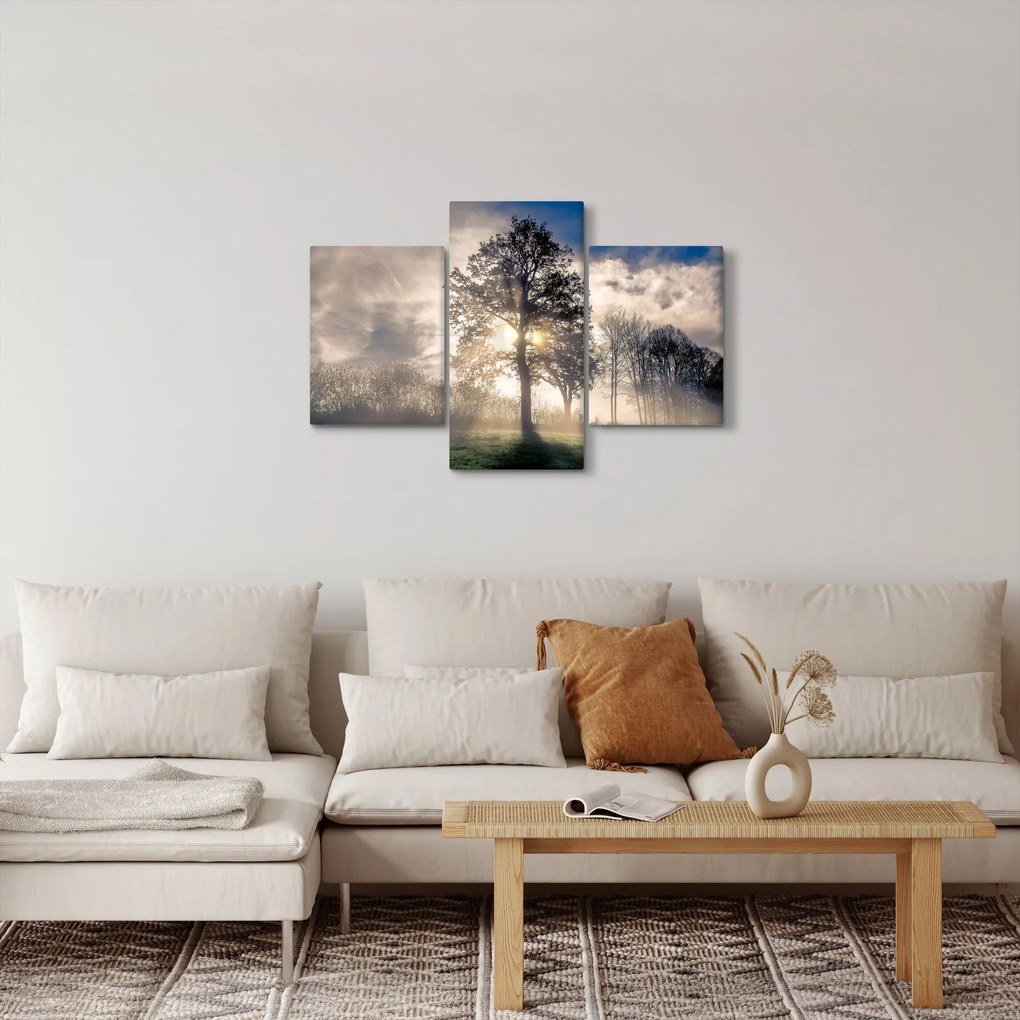 Obraz stromu v hmle (90x60 cm)