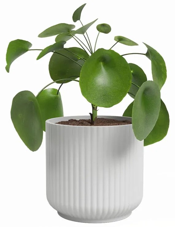 Keramický kvetináč ø 15 cm Luna – Artevasi