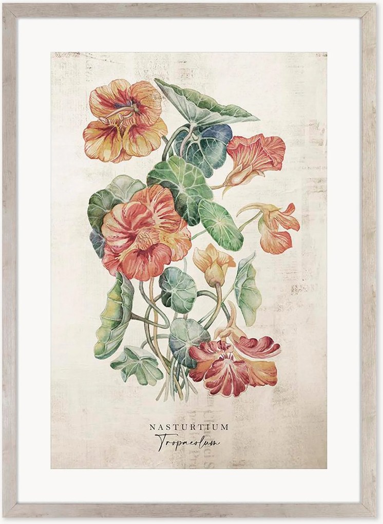 Nástenná dekorácia v ráme Nasturtium