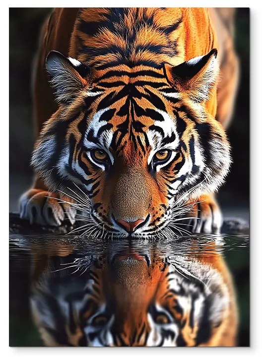 drevko | Obraz na stenu Smädný tiger