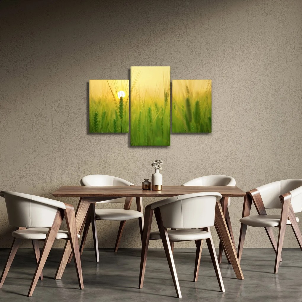 Obraz - Pole s obilím (90x60 cm)