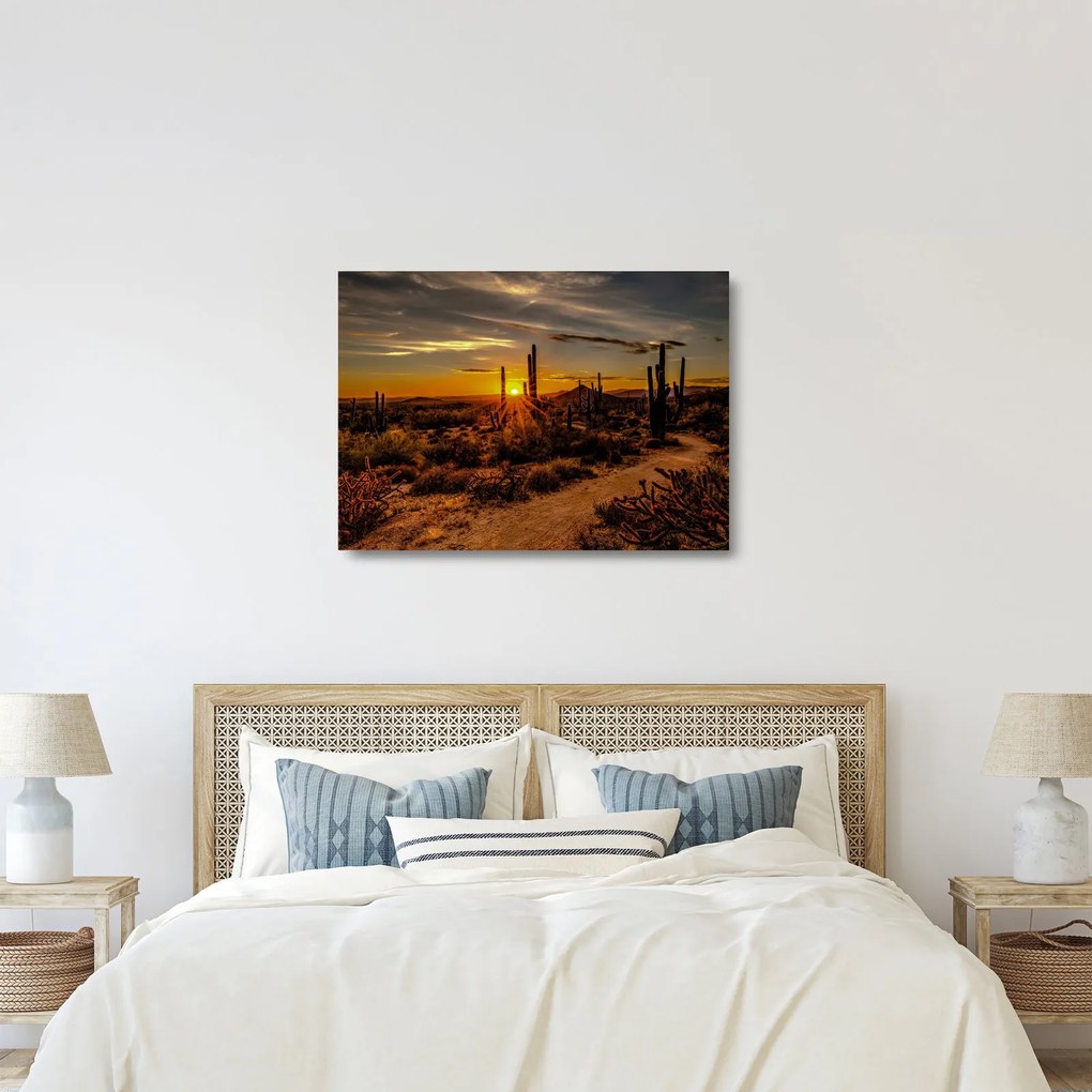 Sklenený obraz - Koniec dňa v arizonskej púšti (70x50 cm)