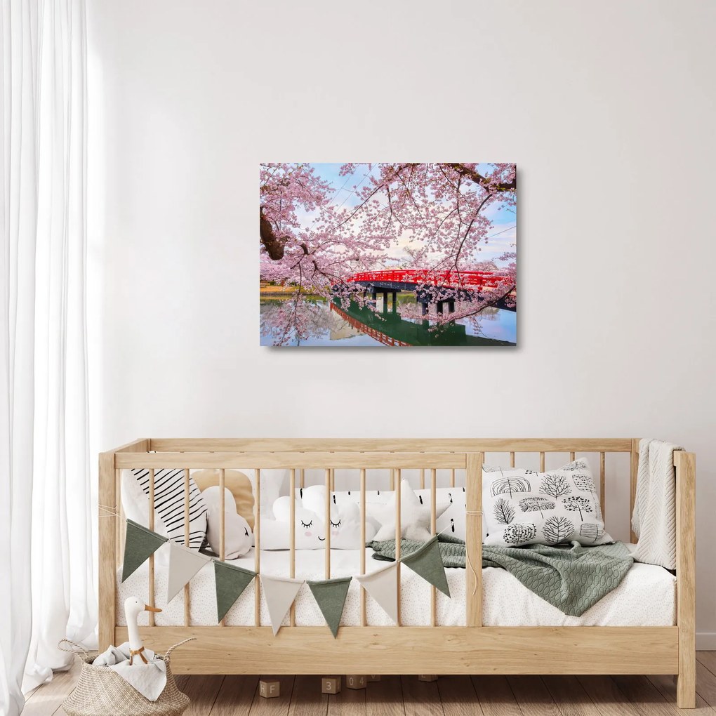 Sklenený obraz - Hirosaki, Japonsko (70x50 cm)