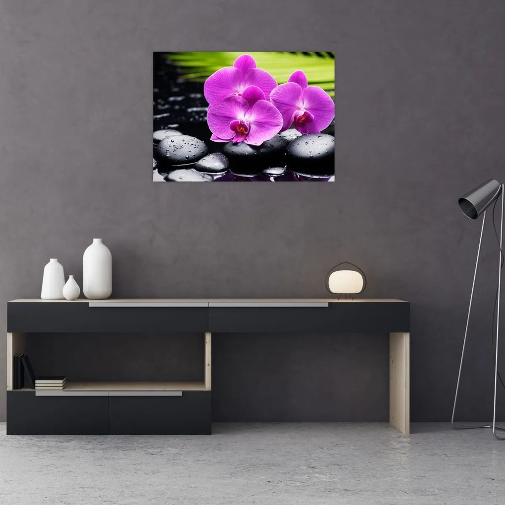 Obraz - Orchidey (70x50 cm)