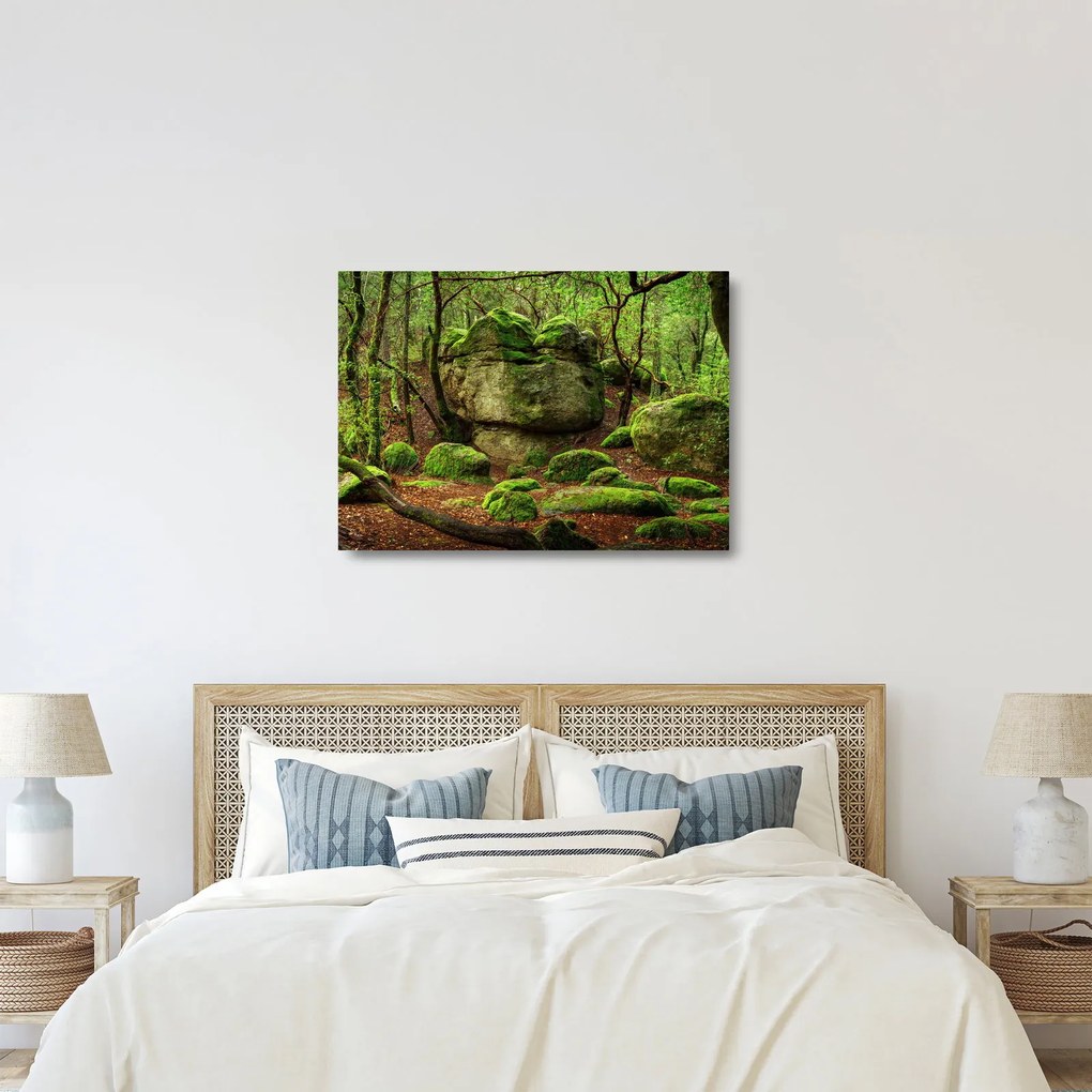 Sklenený obraz čarovného lesa (70x50 cm)