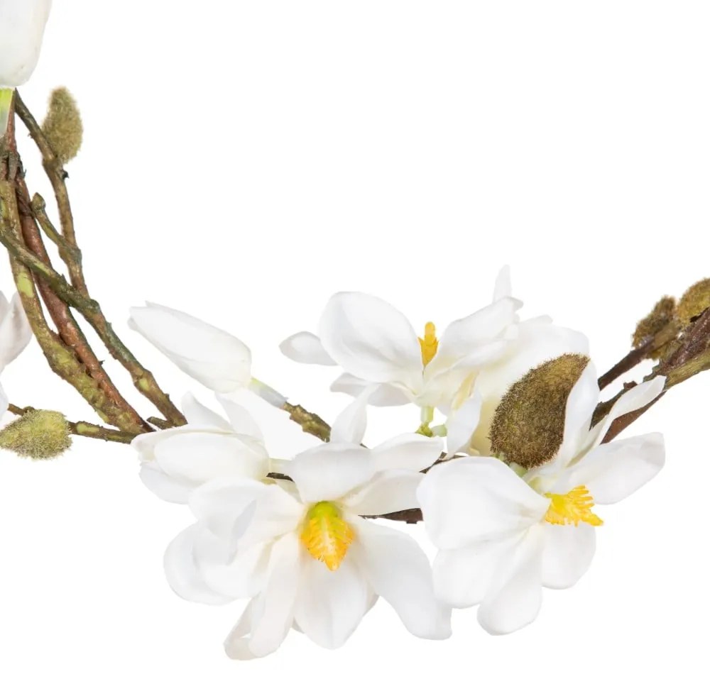 Veniec Magnolia – Ixia