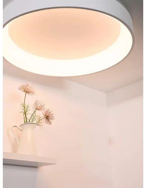 Lucide 46100/80/31 -LED Stmievateľné stropné svietidlo TALOWE LED/80W/230V Ø 80 cm