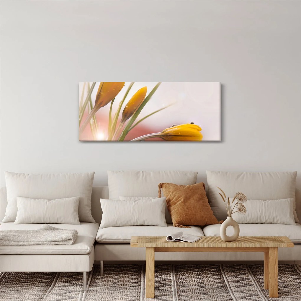 Obraz - Jarné kvety (120x50 cm)