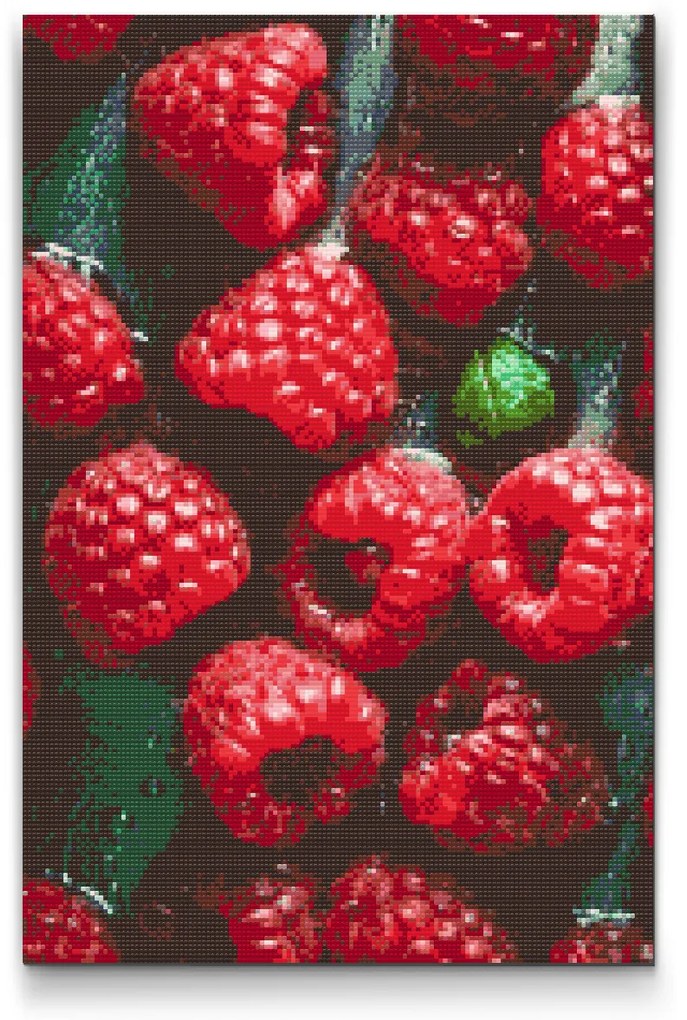 Gario Diamantové maľovanie Šťavnaté maliny Rozmery: 40 x 60 cm, Rámovanie: Iba zrolované plátno, Diamanty: Štvorcové