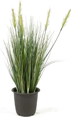 Grass bush 45 cm