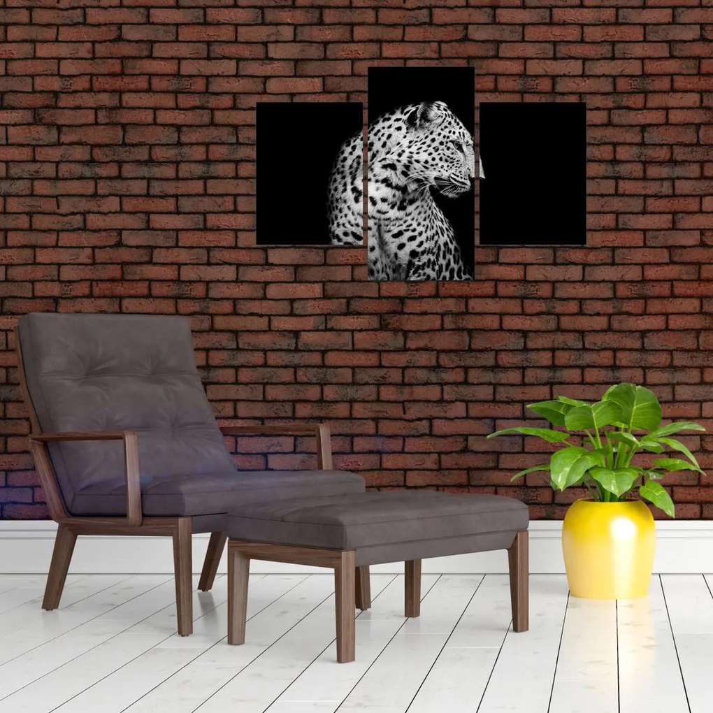 Obraz - Leopard (90x60 cm)