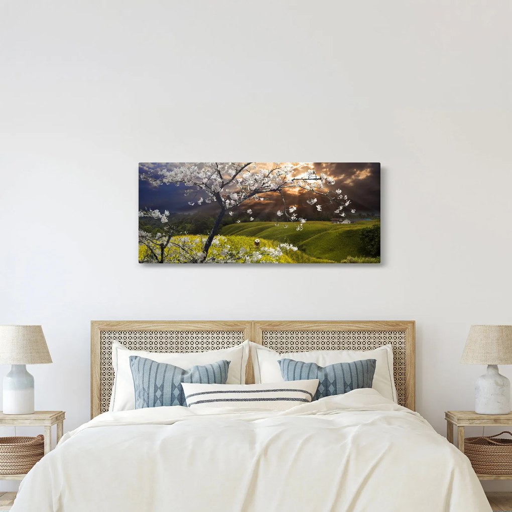 Obraz - Rozkvitnutý strom v krajine (120x50 cm)