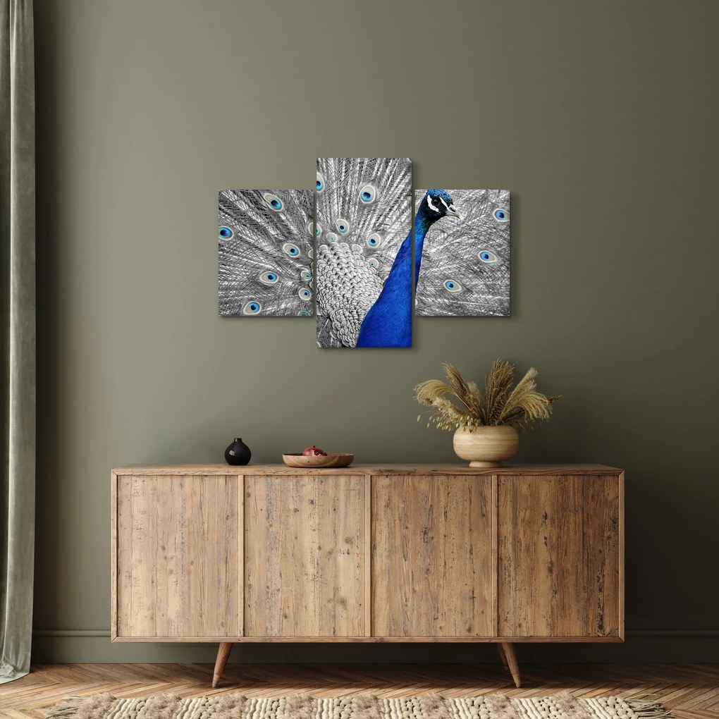 Obraz - modrý páv (90x60 cm)