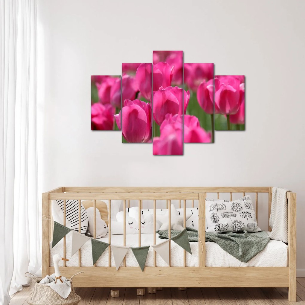 Obraz - Ružové tulipány (150x105 cm)