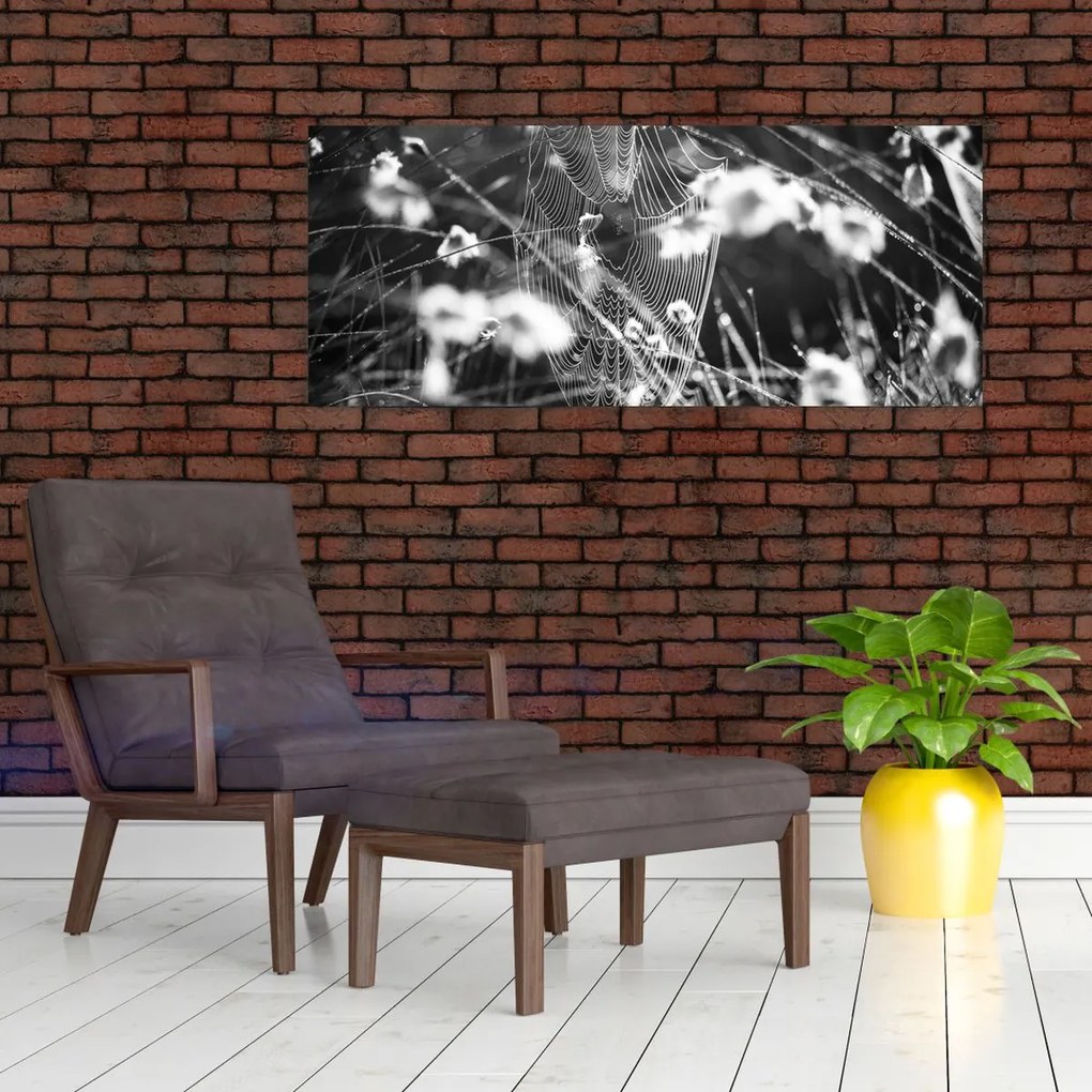 Obraz - Pavučina na lúke (120x50 cm)