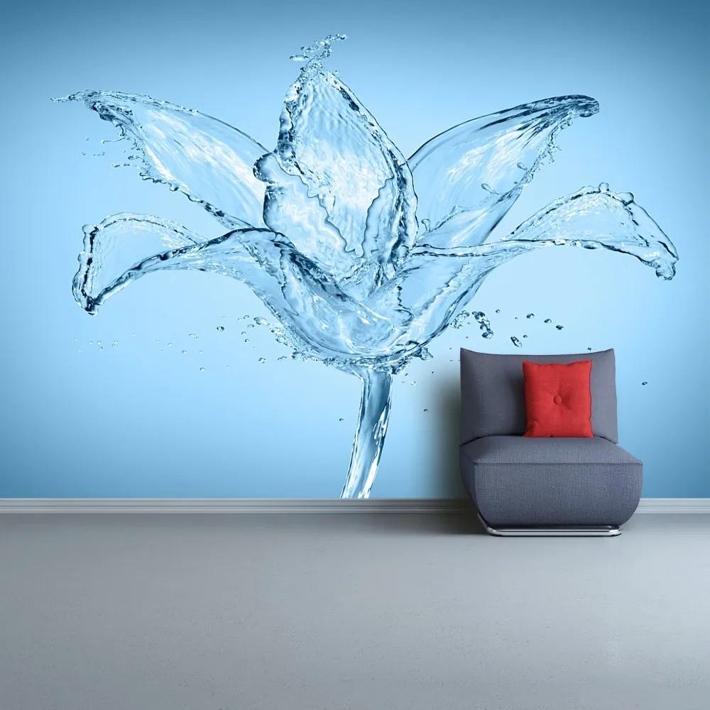 Fototapeta Vliesová Vodný kvet 416x254 cm