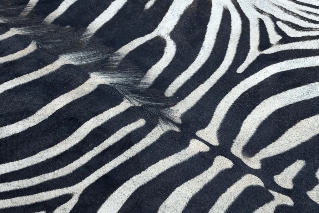 Koberec syntetická koža Zebra,